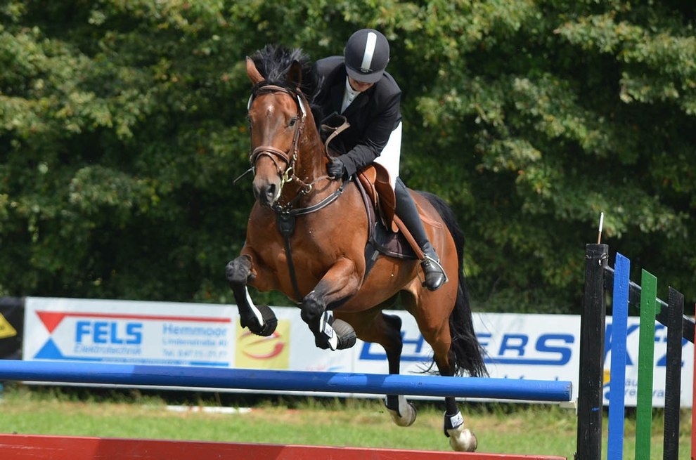 Sport im Kraichgau